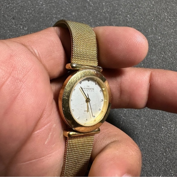 SKAGEN 107SGGD Women's Stainless Steel Analog Dial Quartz Wrist Watch Working - Picture 3 of 6